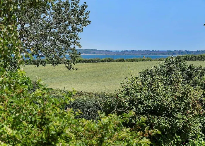 Sj291-hejls-brombaervaenget-36 *